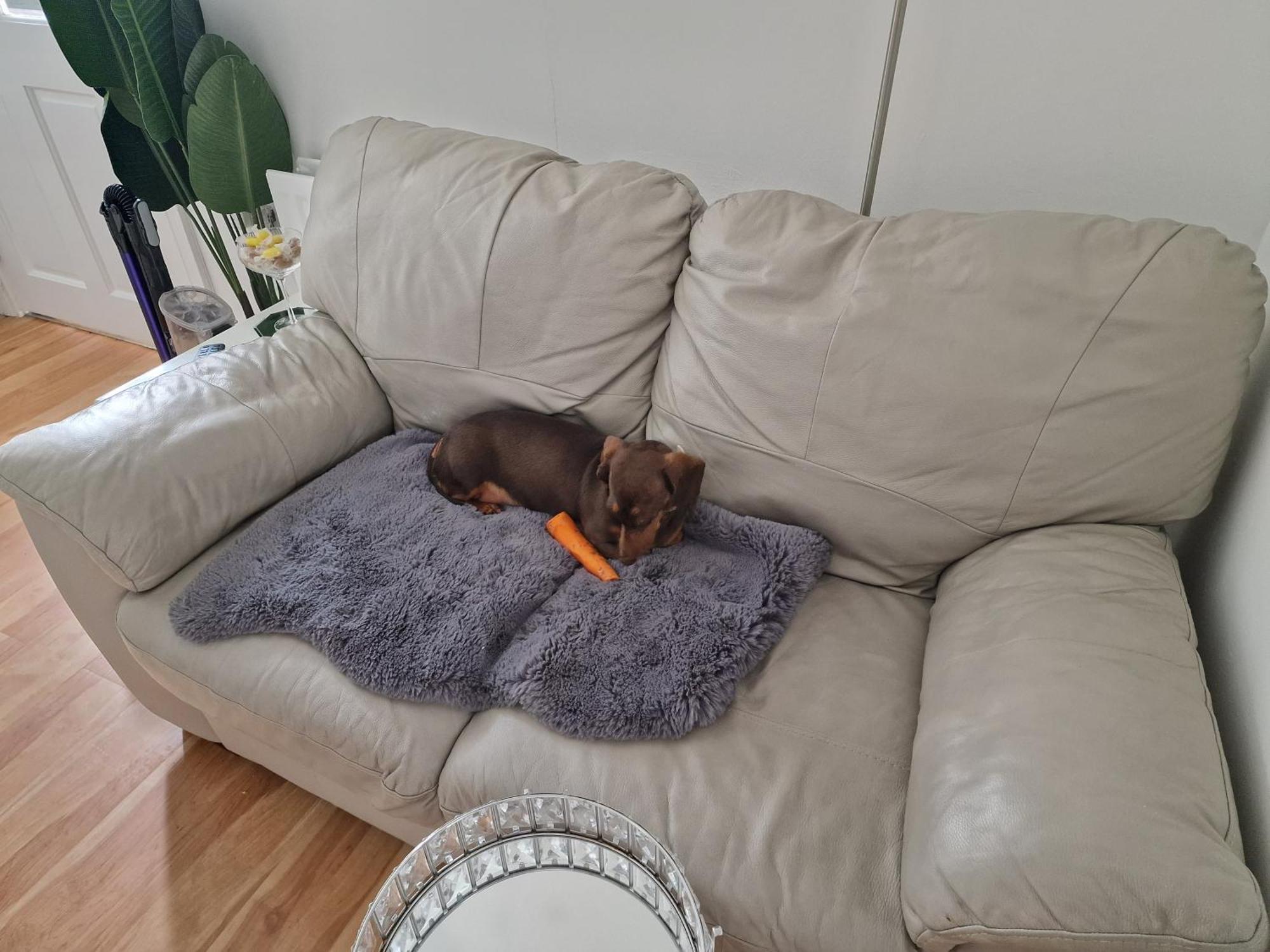 Aunty Katie'S House, Ni Tourist Board Certified & Located On The Main Oldpark Road To Belfast, With Free Continental Breakfast & Free Ultra Fast Sky Internet, Free Sky Sports & Free Sky Cinema, Self-Check In After 10Pm Gmt Hostel Luaran gambar